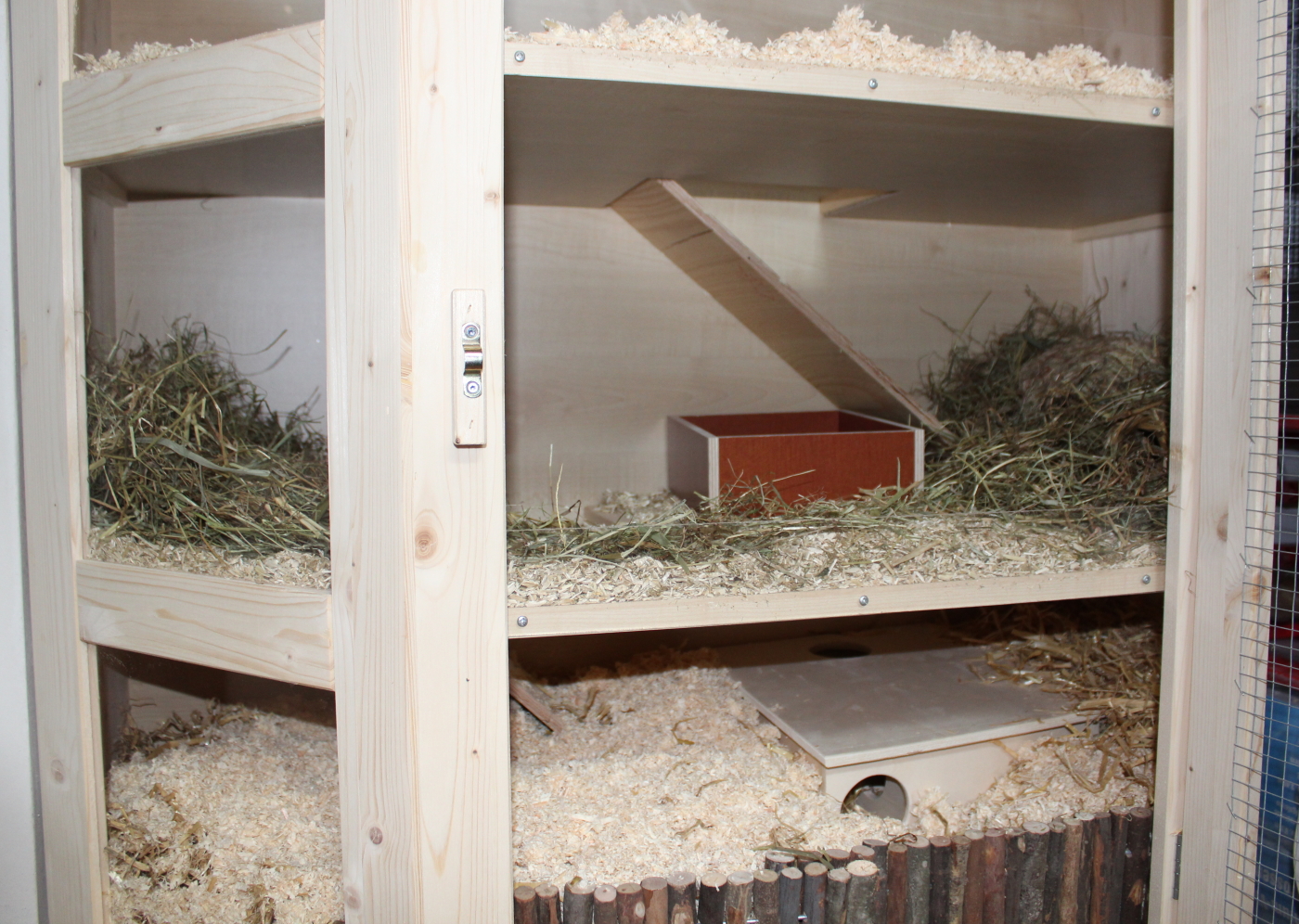Teddyhamster Kafig Wohlfuhloase Fur Den Nager Teddyhamster Net