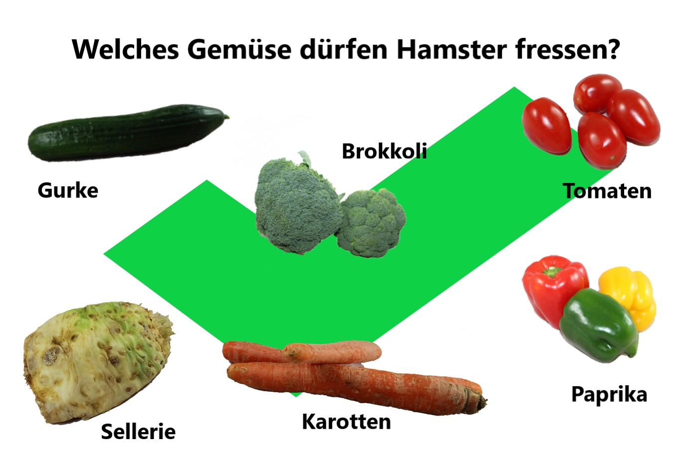 Gemüse für Hamster, Teil der artgerechten Ernährung - Geeignetes Gemuese
