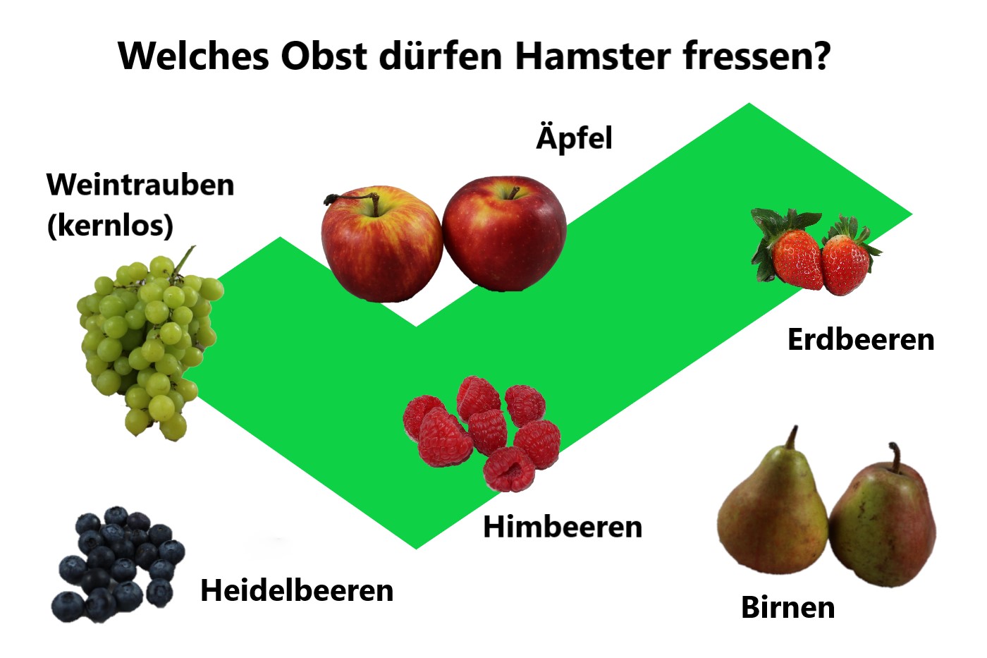 Obst für Hamster, Teil der artgerechten Ernährung - Geeignetes Obst