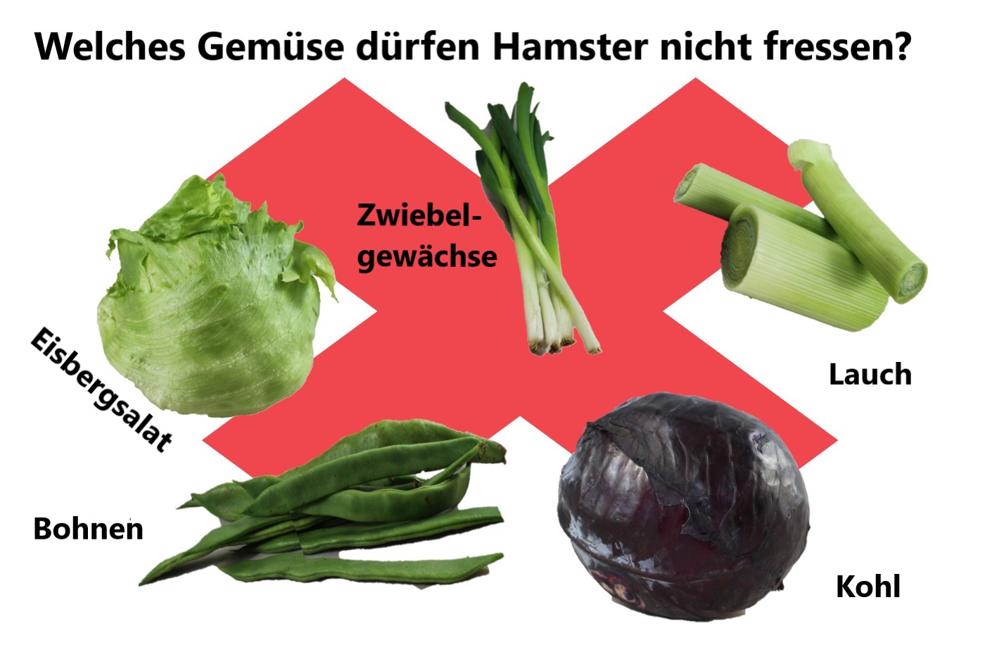 Gemüse für Hamster, Teil der artgerechten Ernährung - Ungeeignetes Gemuese